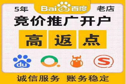 SEM推广策略：成功案例解析与效果评估
